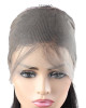 360 Lace Front Straight Human Hair Braiding Wigs Indian 360 Pre-Plucked Lace Frontal Wig