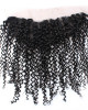 curly virgin remy human hair 13x4 ear to ear lace frontal with baby hair curly virgin remy human hair 13x4 ear to ear lace frontal with baby hair