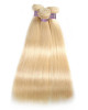 3 bundles of brazilian straight hair 613 Blonde Color