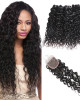 malaysian hair water wave 4 bundles with lace closure