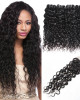 Peruvian Water Wave Hair Weave 4 Bundles With Free Part Lace Closure Remy Human Hair Extensions