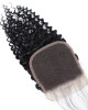 virgin brazilian curly hair 3 bundles with lace closure virgin brazilian curly hair 3 bundles with lace closure